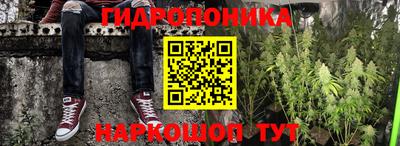 крисы Партизанск