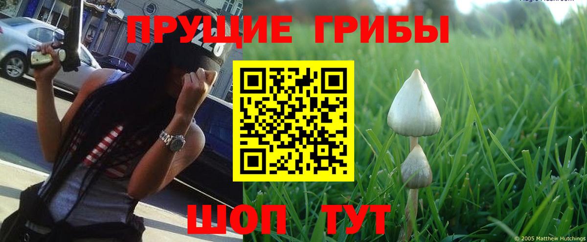 Экстази  Alpha PVP СОЛЬ кристаллы  МЕФ кристаллы  Вход с VPN  ГАШИШ  Конопля  Советск  КОКАИН 