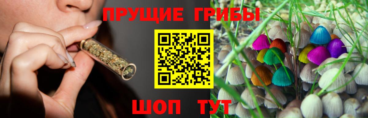 Советск  закладки  Вход с VPN  Псилоцибиновые грибы мухоморы 